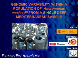 GENOMIC VARIABILITY WITHIN A
       POPULATION OF Alteromonas
      macleodii FROM A SINGLE DEEP
        MEDITERRANEAN SAMPLE




Francisco Rodriguez-Valera
 
