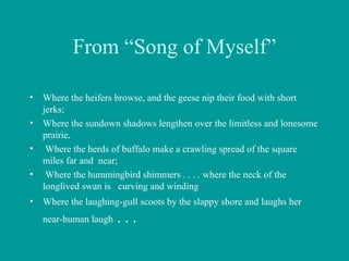From “Song of Myself”
• Where the heifers browse, and the geese nip their food with short
jerks;
• Where the sundown shadows lengthen over the limitless and lonesome
prairie,
• Where the herds of buffalo make a crawling spread of the square
miles far and near;
• Where the hummingbird shimmers . . . . where the neck of the
longlived swan is curving and winding
• Where the laughing-gull scoots by the slappy shore and laughs her
near-human laugh . . .
 