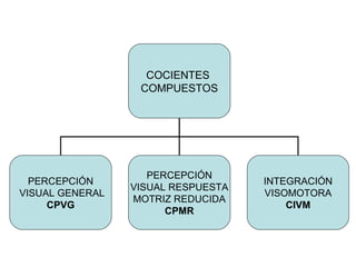 COCIENTES  COMPUESTOS PERCEPCIÓN  VISUAL GENERAL CPVG PERCEPCIÓN VISUAL RESPUESTA MOTRIZ REDUCIDA CPMR INTEGRACIÓN VISOMOTORA CIVM 