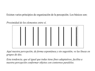 Existen varios principios de organización de la percepción. Los básicos son: Proximidad de los elementos entre sí. Aquí nuestra percepción, de forma espontánea y sin sugestión, ve las líneas en grupos de dos. Esta tendencia, que al igual que todas tiene fines adaptativos, facilita a nuestra percepción conformar objetos con contornos paralelos. 
