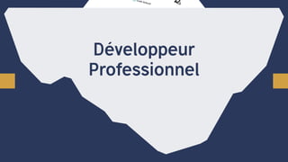 Développeur
Professionnel
 