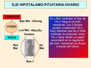 EJE HIPOTALAMO-PITUITARIA-OVARIO
CORAZON
RIÑON
UTERO
Bao Mai =Chong
Luo Mai =Ren/Du
Cerebro
Ren
Mai
Du
Mai
Ren-1
Du y Ren controlan el flujo de
Yin y Yang en el ciclo
menstrual. Los 2 Quiaos
ayudan a balancear Yin y
Yang mientras que los 2 Weis
controlan la conección entre
Yin y Yang; tienen un papel
secundario en la regulación
del ciclo menstrual (no fluyen
a través del Utero)
 