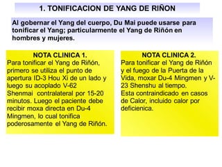 1. TONIFICACION DE YANG DE RIÑON
Al gobernar el Yang del cuerpo, Du Mai puede usarse para
tonificar el Yang; particularmente el Yang de Riñón en
hombres y mujeres.
NOTA CLINICA 1.
Para tonificar el Yang de Riñón,
primero se utiliza el punto de
apertura ID-3 Hou Xi de un lado y
luego su acoplado V-62
Shenmai contralateral por 15-20
minutos. Luego el paciente debe
recibir moxa directa en Du-4
Mingmen, lo cual tonifica
poderosamente el Yang de Riñón.
NOTA CLINICA 2.
Para tonificar el Yang de Riñón
y el fuego de la Puerta de la
Vida, moxar Du-4 Mingmen y V-
23 Shenshu al tiempo.
Esta contraindicado en casos
de Calor, incluido calor por
deficienica.
 