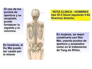 El uso de los
puntos de
apertura y su
acoplado,
puede
fortalecer la
espalda y la
columna.
En hombres, el
Du Mai puede
ser usado por
si mismo
En mujeres, es mejor
combinarlo con Ren
Mai, usando puntos de
apertura y acoplados
como en el tratamiento
de Yang de Riñón.
NOTA CLINICA - HOMBRES
Use ID-3 Houxi izquierdo V-62
Shenmai derecho.
 