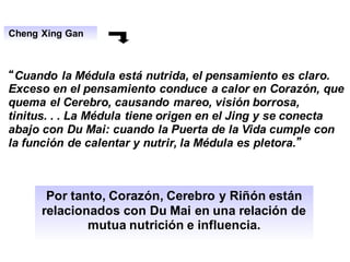 Cheng Xing Gan
“Cuando la Médula está nutrida, el pensamiento es claro.
Exceso en el pensamiento conduce a calor en Corazón, que
quema el Cerebro, causando mareo, visión borrosa,
tinitus. . . La Médula tiene origen en el Jing y se conecta
abajo con Du Mai: cuando la Puerta de la Vida cumple con
la función de calentar y nutrir, la Médula es pletora.”
Por tanto, Corazón, Cerebro y Riñón están
relacionados con Du Mai en una relación de
mutua nutrición e influencia.
 