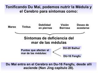 Tonificando Du Mai, podemos nutrir la Médula y
el Cerebro para síntomas como:
Mareo Tinitus
Debilidad
en piernas
Visión
Borrosa
Deseo de
acostarse
Síntomas de deficiencia del
mar de las médulas
Puntos que afectan el
mar de las médulas:
Du Mai entra en el Cerebro en Du-16 Fengfu, desde alli
asciende (Nan Jing capitulo 28).
DU-20 Baihui
DU-16 Fengfu
 
