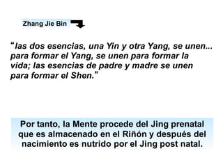 Zhang Jie Bin
“las dos esencias, una Yin y otra Yang, se unen...
para formar el Yang, se unen para formar la
vida; las esencias de padre y madre se unen
para formar el Shen.”
Por tanto, la Mente procede del Jing prenatal
que es almacenado en el Riñón y después del
nacimiento es nutrido por el Jing post natal.
 