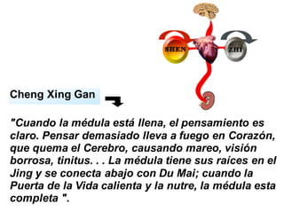 Cheng Xing Gan
"Cuando la médula está llena, el pensamiento es
claro. Pensar demasiado lleva a fuego en Corazón,
que quema el Cerebro, causando mareo, visión
borrosa, tinitus. . . La médula tiene sus raíces en el
Jing y se conecta abajo con Du Mai; cuando la
Puerta de la Vida calienta y la nutre, la médula esta
completa ".
 