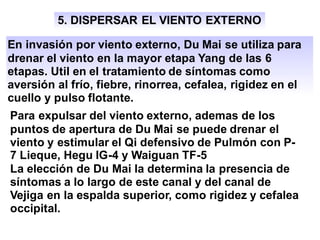 5. DISPERSAR EL VIENTO EXTERNO
En invasión por viento externo, Du Mai se utiliza para
drenar el viento en la mayor etapa Yang de las 6
etapas. Util en el tratamiento de síntomas como
aversión al frío, fiebre, rinorrea, cefalea, rigidez en el
cuello y pulso flotante.
Para expulsar del viento externo, ademas de los
puntos de apertura de Du Mai se puede drenar el
viento y estimular el Qi defensivo de Pulmón con P-
7 Lieque, Hegu IG-4 y Waiguan TF-5
La elección de Du Mai la determina la presencia de
síntomas a lo largo de este canal y del canal de
Vejiga en la espalda superior, como rigidez y cefalea
occipital.
 