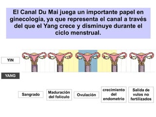 El Canal Du Mai juega un importante papel en
ginecología, ya que representa el canal a través
del que el Yang crece y disminuye durante el
ciclo menstrual.
Sangrado
Maduración
del folículo
Ovulación
crecimiento
del
endometrio
Salida de
vulos no
fertilizados
YIN
YANG
 