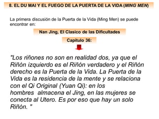 8. EL DU MAI Y EL FUEGO DE LA PUERTA DE LA VIDA (MING MEN)
La primera discusión de la Puerta de la Vida (Ming Men) se puede
encontrar en:
Capítulo 36:
"Los riñones no son en realidad dos, ya que el
Riñón izquierdo es el Riñón verdadero y el Riñón
derecho es la Puerta de la Vida. La Puerta de la
Vida es la residencia de la mente y se relaciona
con el Qi Original (Yuan Qi): en los
hombres almacena el Jing, en las mujeres se
conecta al Utero. Es por eso que hay un solo
Riñón. "
Nan Jing, El Clasico de las Dificultades
 