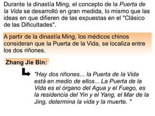 Durante la dinastía Ming, el concepto de la Puerta de
la Vida se desarrolló en gran medida, lo mismo que las
ideas en que difieren de las expuestas en el "Clásico
de las Dificultades".
A partir de la dinastía Ming, los médicos chinos
consideran que la Puerta de la Vida, se localiza entre
los dos riñones.
Zhang Jie Bin:
"Hay dos riñones... la Puerta de la Vida
está en medio de ellos... La Puerta de la
Vida es el órgano del Agua y el Fuego, es
la residencia del Yin y el Yang, el Mar de la
Jing, determina la vida y la muerte. "
 