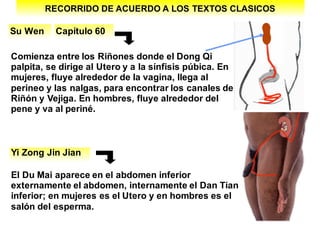 RECORRIDO DE ACUERDO A LOS TEXTOS CLASICOS
Comienza entre los Riñones donde el Dong Qi
palpita, se dirige al Utero y a la sínfisis púbica. En
mujeres, fluye alrededor de la vagina, llega al
perineo y las nalgas, para encontrar los canales de
Riñón y Vejiga. En hombres, fluye alrededor del
pene y va al periné.
El Du Mai aparece en el abdomen inferior
externamente el abdomen, internamente el Dan Tian
inferior; en mujeres es el Utero y en hombres es el
salón del esperma.
Su Wen Capítulo 60
Yi Zong Jin Jian
 