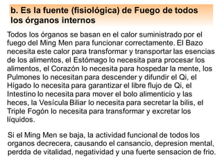 b. Es la fuente (fisiológica) de Fuego de todos
los órganos internos
Todos los órganos se basan en el calor suministrado por el
fuego del Ming Men para funcionar correctamente. El Bazo
necesita este calor para transformar y transportar las esencias
de los alimentos, el Estómago lo necesita para procesar los
alimentos, el Corazón lo necesita para hospedar la mente, los
Pulmones lo necesitan para descender y difundir el Qi, el
Hígado lo necesita para garantizar el libre flujo de Qi, el
Intestino lo necesita para mover el bolo alimenticio y las
heces, la Vesícula Biliar lo necesita para secretar la bilis, el
Triple Fogón lo necesita para transformar y excretar los
líquidos.
Si el Ming Men se baja, la actividad funcional de todos los
organos decrecera, causando el cansancio, depresion mental,
perdda de vitalidad, negatividad y una fuerte sensacion de frio.
 