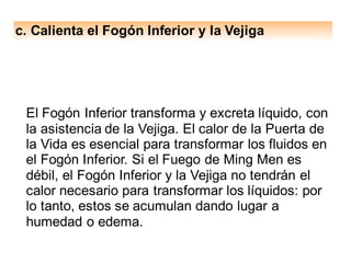c. Calienta el Fogón Inferior y la Vejiga
El Fogón Inferior transforma y excreta líquido, con
la asistencia de la Vejiga. El calor de la Puerta de
la Vida es esencial para transformar los fluidos en
el Fogón Inferior. Si el Fuego de Ming Men es
débil, el Fogón Inferior y la Vejiga no tendrán el
calor necesario para transformar los líquidos: por
lo tanto, estos se acumulan dando lugar a
humedad o edema.
 