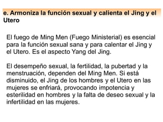 e. Armoniza la función sexual y calienta el Jing y el
Utero
El fuego de Ming Men (Fuego Ministerial) es esencial
para la función sexual sana y para calentar el Jing y
el Utero. Es el aspecto Yang del Jing.
El desempeño sexual, la fertilidad, la pubertad y la
menstruación, dependen del Ming Men. Si está
disminuido, el Jing de los hombres y el Utero en las
mujeres se enfriará, provocando impotencia y
esterilidad en hombres y la falta de deseo sexual y la
infertilidad en las mujeres.
 