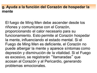 g. Ayuda a la función del Corazón de hospedar la
mente
El fuego de Ming Men debe ascender desde los
riñones y comunicarse con el Corazón,
proporcionando el calor necesario para su
funcionamiento. Esto permite al Corazón hospedar
la mente, influenciando el estado mental. Si el
Fuego de Ming Men es deficiente, el Corazón no
puede albergar la mente y aparece síntomas como
depresión y disminución de la vitalidad. Si el Fuego
es excesivo, se registrarán “llamaradas” que
acosan al Corazón y al Pericardio, generando
problemas emocionales.
 
