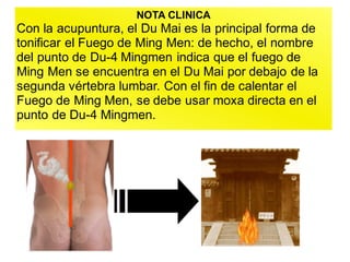 NOTA CLINICA
Con la acupuntura, el Du Mai es la principal forma de
tonificar el Fuego de Ming Men: de hecho, el nombre
del punto de Du-4 Mingmen indica que el fuego de
Ming Men se encuentra en el Du Mai por debajo de la
segunda vértebra lumbar. Con el fin de calentar el
Fuego de Ming Men, se debe usar moxa directa en el
punto de Du-4 Mingmen.
 