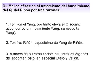 2. Tonifica Riñón, especialmente Yang de Riñón.
Du Mai es eficaz en el tratamiento del hundimiento
del Qi del Riñón por tres razones:
1. Tonifica el Yang, por tanto eleva el Qi (como
ascender es un movimiento Yang, se necesita
Yang).
3. A través de su rama abdominal, trata los órganos
del abdomen bajo, en especial Utero y Vejiga.
 