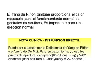 El Yang de Riñón también proporciona el calor
necesario para el funcionamiento normal de
genitales masculinos. Es importante para una
erección normal.
NOTA CLINICA - DISFUNCION ERECTIL
Puede ser causada por la Deficiencia de Yang de Riñón
y el Vacío de Du Mai. Para su tratamiento, yo uso los
puntos de apertura y acoplado(ID-3 Houxi (Izq) y V-62
Shenmai (der) con Ren-4 Guanyuan y V-23 Shenshu.
 