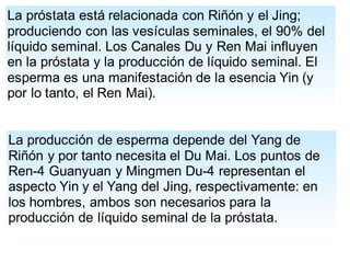 La próstata está relacionada con Riñón y el Jing;
produciendo con las vesículas seminales, el 90% del
líquido seminal. Los Canales Du y Ren Mai influyen
en la próstata y la producción de líquido seminal. El
esperma es una manifestación de la esencia Yin (y
por lo tanto, el Ren Mai).
La producción de esperma depende del Yang de
Riñón y por tanto necesita el Du Mai. Los puntos de
Ren-4 Guanyuan y Mingmen Du-4 representan el
aspecto Yin y el Yang del Jing, respectivamente: en
los hombres, ambos son necesarios para la
producción de líquido seminal de la próstata.
 