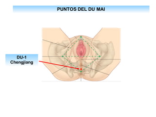 PUNTOS DEL DU MAI
DU-1
Chengjiang
 