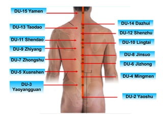 DU-3
Yaoyangguan
DU-5 Xuanshen
DU-7 Zhongshu
DU-9 Zhiyang
DU-11 Shendao
DU-13 Taodao
DU-15 Yamen
DU-2 Yaoshu
DU-4 Mingmen
DU-6 Jizhong
DU-8 Jinsuo
DU-10 Lingtai
DU-12 Shenzhu
DU-14 Dazhui
 