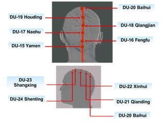 DU-17 Naohu
DU-15 Yamen
DU-16 Fengfu
DU-19 Houding
DU-18 Qiangjian
DU-20 Baihui
DU-20 Baihui
DU-21 Qianding
DU-22 Xinhui
DU-23
Shangxing
DU-24 Shenting
 