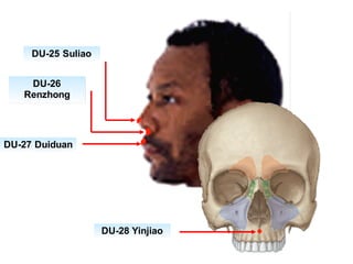 DU-28 Yinjiao
DU-27 Duiduan
DU-26
Renzhong
DU-25 Suliao
 