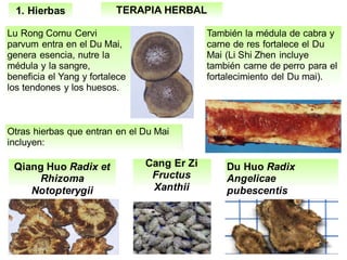 TERAPIA HERBAL1. Hierbas
También la médula de cabra y
carne de res fortalece el Du
Mai (Li Shi Zhen incluye
también carne de perro para el
fortalecimiento del Du mai).
Lu Rong Cornu Cervi
parvum entra en el Du Mai,
genera esencia, nutre la
médula y la sangre,
beneficia el Yang y fortalece
los tendones y los huesos.
Otras hierbas que entran en el Du Mai
incluyen:
Qiang Huo Radix et
Rhizoma
Notopterygii
Cang Er Zi
Fructus
Xanthii
Du Huo Radix
Angelicae
pubescentis
 