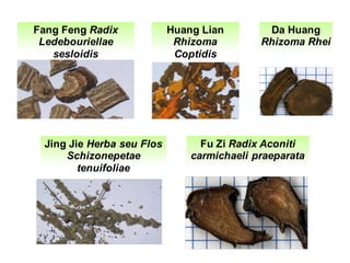 Fang Feng Radix
Ledebouriellae
sesloidis
Jing Jie Herba seu Flos
Schizonepetae
tenuifoliae
Huang Lian
Rhizoma
Coptidis
Da Huang
Rhizoma Rhei
Fu Zi Radix Aconiti
carmichaeli praeparata
 