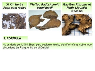 Xi Xin Herba
Asari cum radice
Gao Ben Rhizoma et
Radix Ligustici
sinensis
Wu Tou Radix Aconiti
carmichaeli
2. FORMULA
No es dada por Li Shi Zhen, pero cualquier tónico del riñón-Yang, sobre todo
si contiene Lu Rong, entra en el Du Mai.
 
