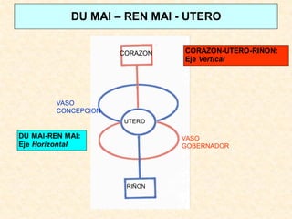 DU MAI – REN MAI - UTERO
CORAZON
RIÑON
UTERO
VASO
GOBERNADOR
VASO
CONCEPCION
CORAZON-UTERO-RIÑON:
Eje Vertical
DU MAI-REN MAI:
Eje Horizontal
 