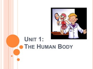 Unit 1:The Human Body 