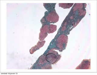 vendredi 18 janvier 13
 