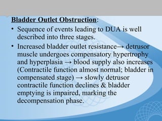 Bladder Outlet Obstruction:
• Sequence of events leading to DUA is well
described into three stages.
• Increased bladder outlet resistance→ detrusor
muscle undergoes compensatory hypertrophy
and hyperplasia → blood supply also increases
(Contractile function almost normal; bladder in
compensated stage) → slowly detrusor
contractile function declines & bladder
emptying is impaired, marking the
decompensation phase.
 