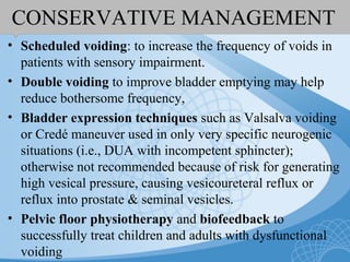 CONSERVATIVE MANAGEMENT
• Scheduled voiding: to increase the frequency of voids in
patients with sensory impairment.
• Double voiding to improve bladder emptying may help
reduce bothersome frequency,
• Bladder expression techniques such as Valsalva voiding
or Credé maneuver used in only very specific neurogenic
situations (i.e., DUA with incompetent sphincter);
otherwise not recommended because of risk for generating
high vesical pressure, causing vesicoureteral reflux or
reflux into prostate & seminal vesicles.
• Pelvic floor physiotherapy and biofeedback to
successfully treat children and adults with dysfunctional
voiding
 