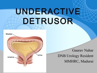 UNDERACTIVE
DETRUSOR
Gaurav Nahar
DNB Urology Resident
MMHRC, Madurai
 