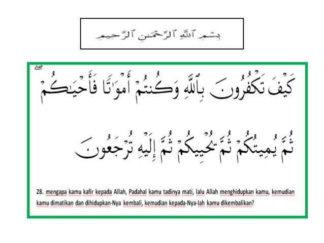 Dua Kali Hidup