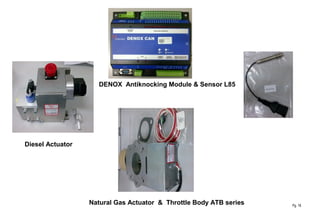 Pg. 18
DENOX Antiknocking Module & Sensor L85
Natural Gas Actuator & Throttle Body ATB series
Diesel Actuator
 