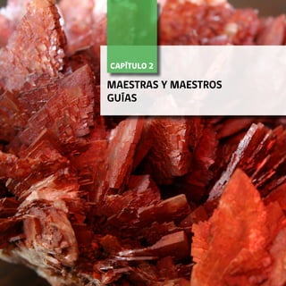 15FORMACIÓN TÉCNICO-PROFESIONAL DUAL • MANUAL PARA LA O EL MAESTRO GUÍA
CAPÍTULO 2	
MAESTRAS Y MAESTROS
GUÍAS
 