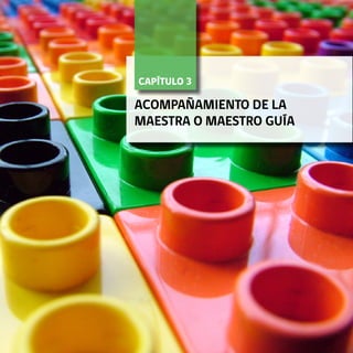 21FORMACIÓN TÉCNICO-PROFESIONAL DUAL • MANUAL PARA LA O EL MAESTRO GUÍA
CAPÍTULO 3	
ACOMPAÑAMIENTO DE LA
MAESTRA O MAESTRO GUÍA
 