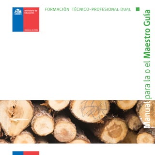 FORMACIÓN TÉCNICO-PROFESIONAL DUAL
ManualparalaoelMaestroGuía
 