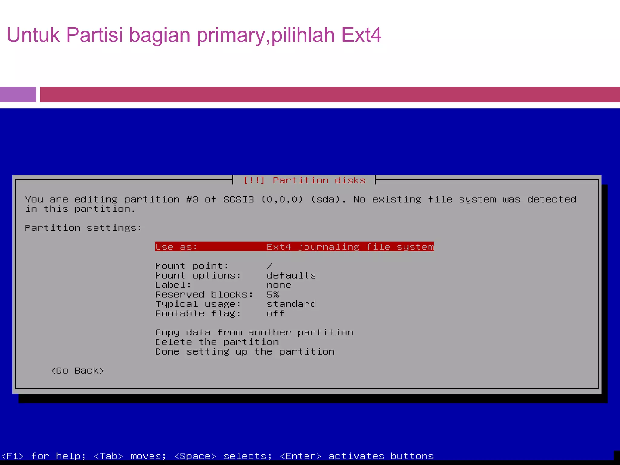 Untuk Partisi bagian primary,pilihlah Ext4
 