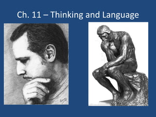 Ch. 11 – Thinking and Language
 