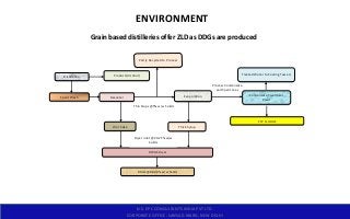Environmental Distilling Ethanol Dual feed distilleries.pptx