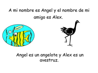 A mi nombre es Angel y el nombre de mi amigo es Alex.   Angel es un angelote y Alex es un avestruz.  