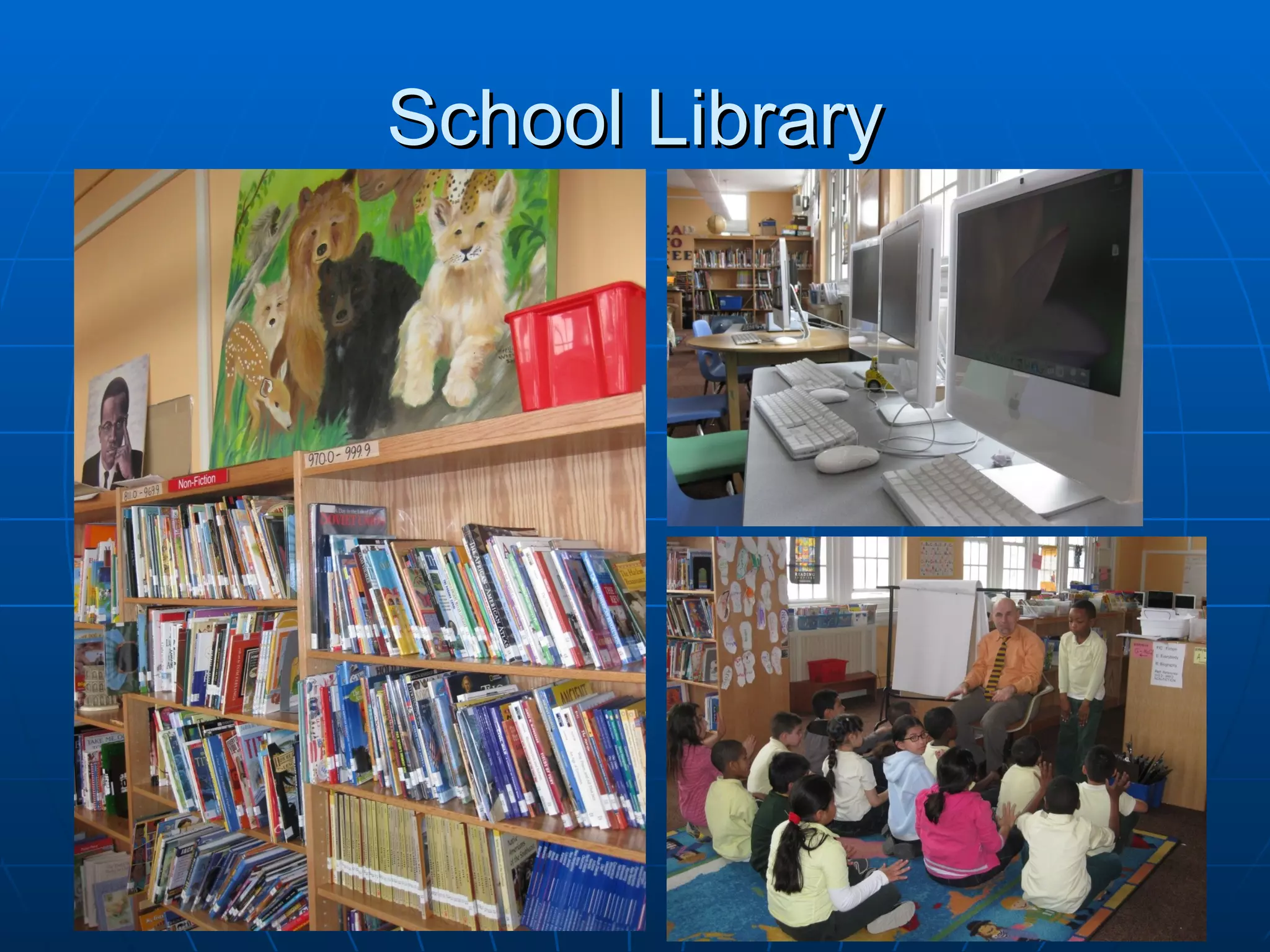 School Library 