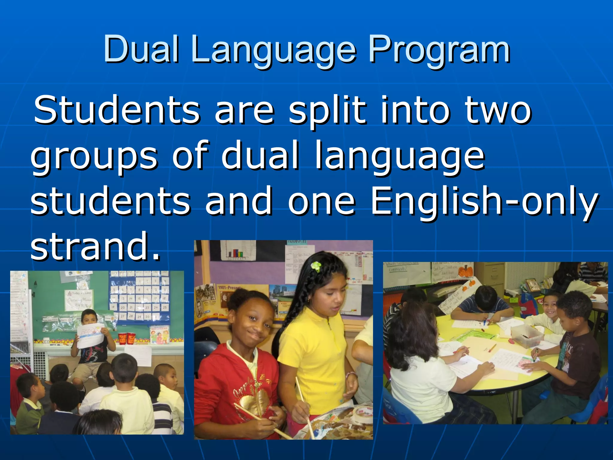 Dual Language Program Students are split into two groups of dual language students and one English-only strand.  