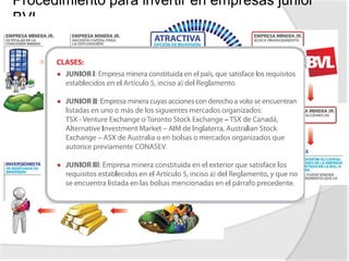 Inversionistas financieros